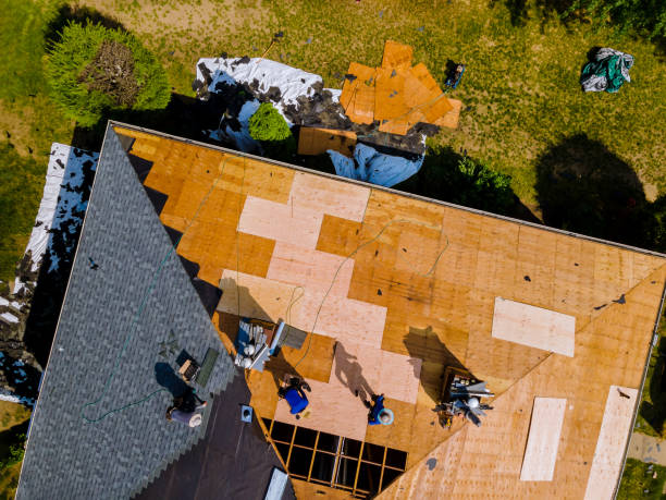 Best Gutter Installation and Roofing  in Nokomis, IL