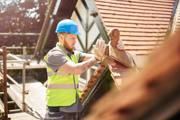Best New Roof Installation  in Nokomis, IL