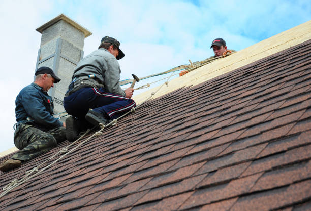 Best Shingle Roofing Installation  in Nokomis, IL